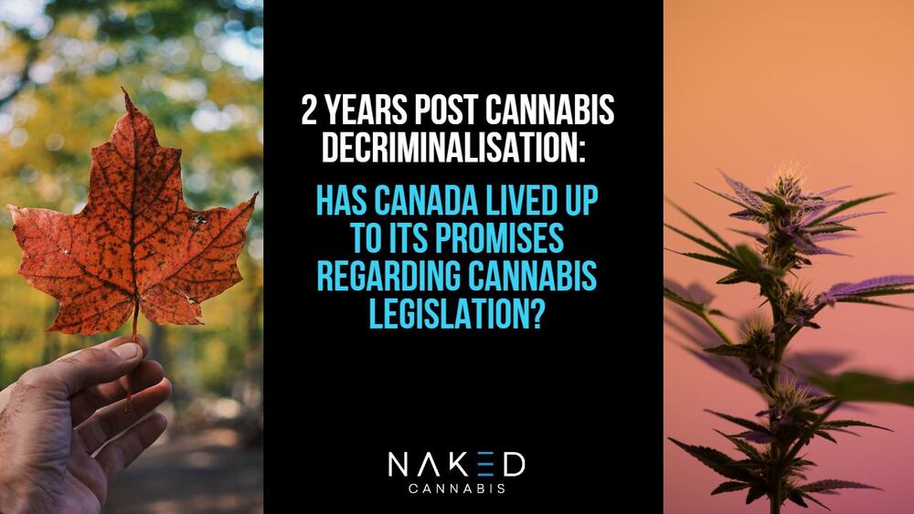 Read more about the article Cannabis Legislation: Did Canada Live Up to Its Promises?