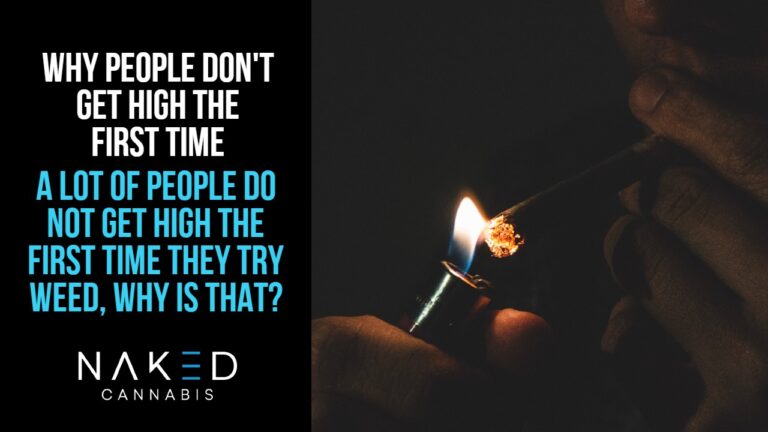 Read more about the article 5 Theories Why People Do Not Get High the First Time