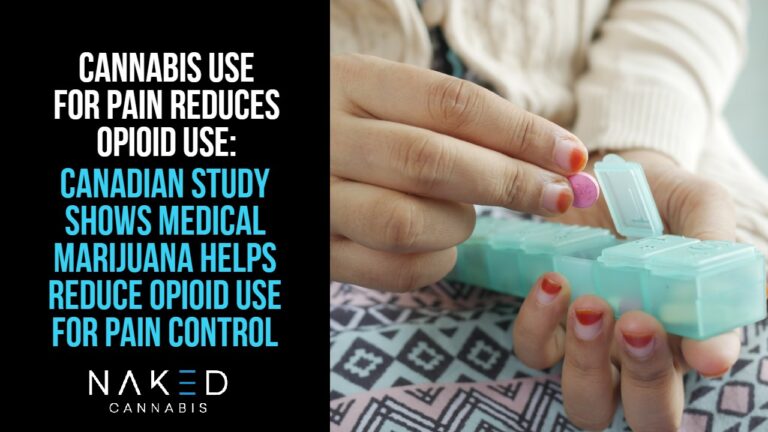 Read more about the article Study in Canada Finds Cannabis Use For Pain Reduces Opiate Use