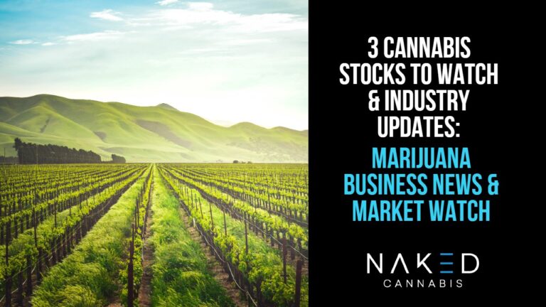 Read more about the article 3 Canadian Stocks to Look Out For in 2022 & What to Expect