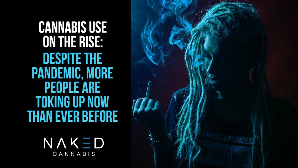 Read more about the article Cannabis Sales Rise as Pandemic Continues in Canada