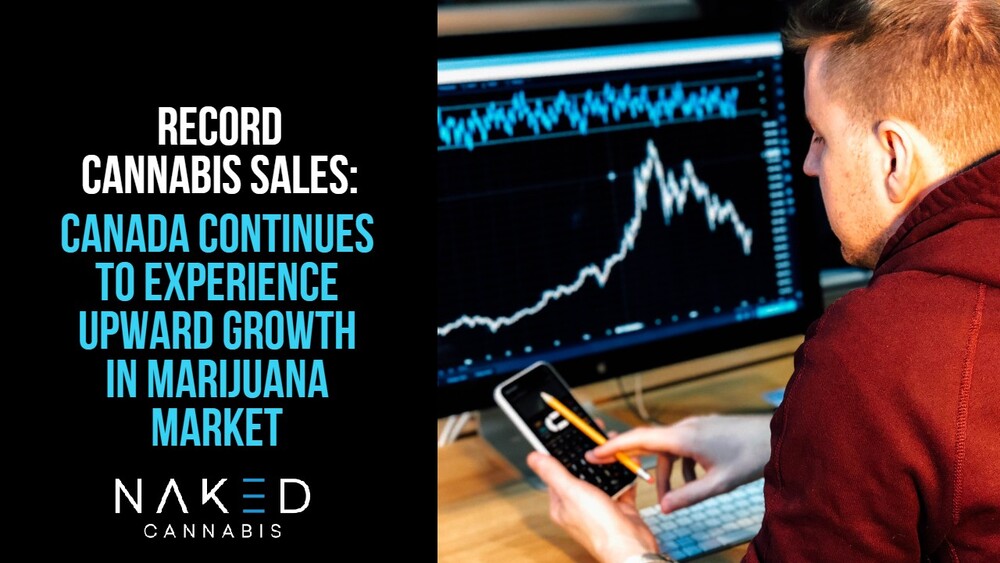 Read more about the article Cannabis Sales in Canada Are Going Through the Roof