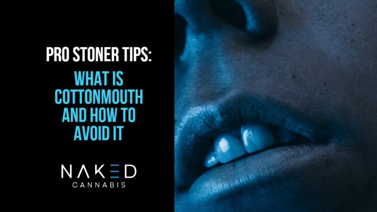 Read more about the article What Is Cottonmouth And How To Avoid It