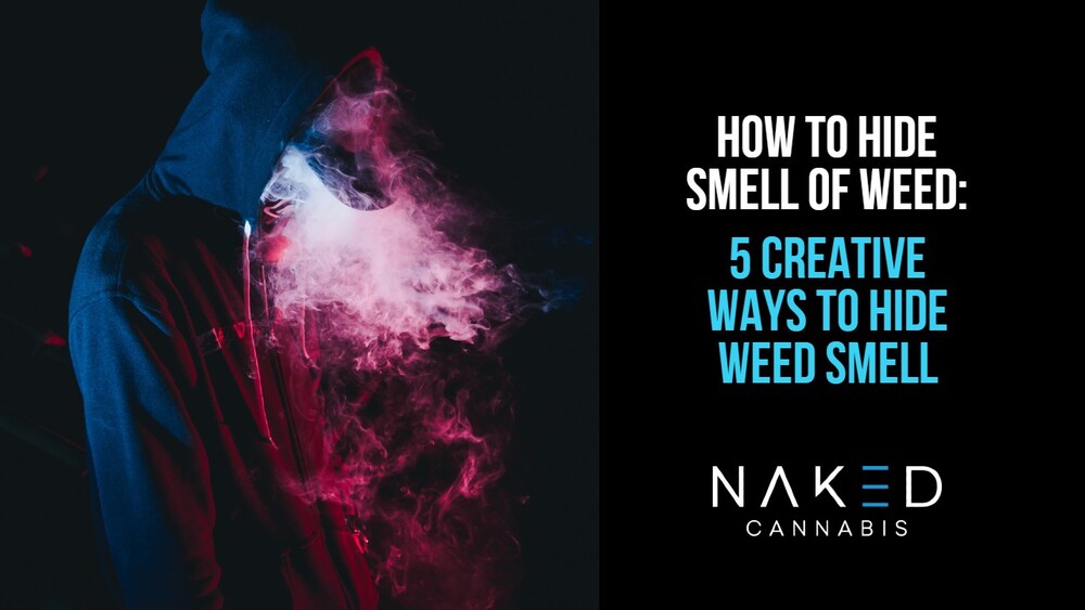Read more about the article 5 Creative Ways to Hide Weed Smell