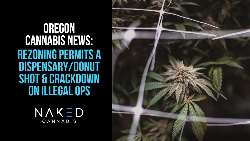 Read more about the article Oregon Combines Donuts and Cannabis & Invests to Fight Illegal Weed