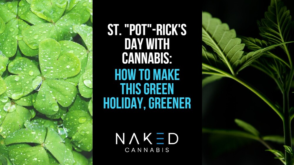 Read more about the article Happy St. “Pot”-Rick’s Day with Cannabis!