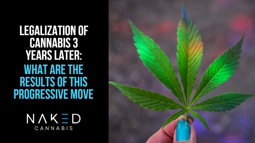 Read more about the article Three Years After the Legalization of Cannabis in Canada