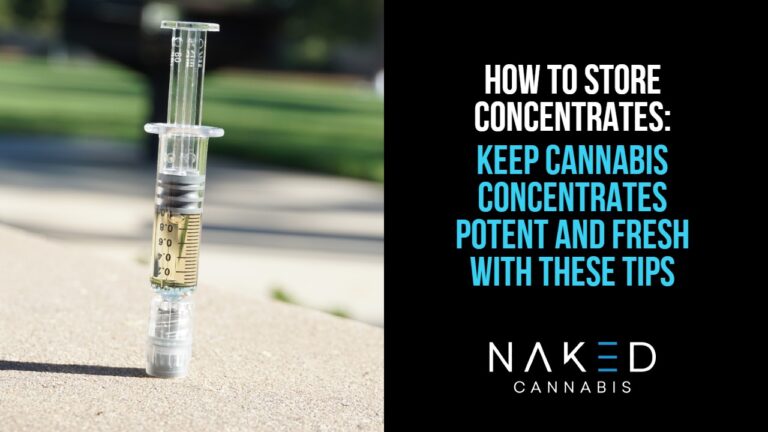 Read more about the article How to Store Cannabis Concentrates: Kief, Rosin, Hash, Shatter, Etc.