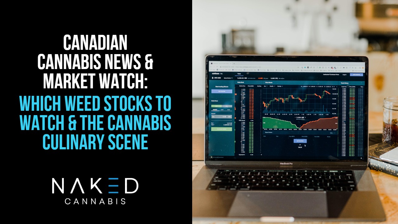 Read more about the article Cannabis Stocks Soar & Culinary Marijuana Showcases Steal Spotlight