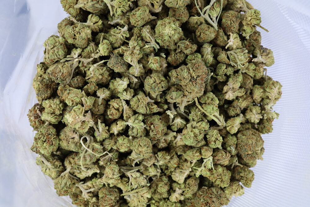 Afghani (Greenhouse) - ($.$) - Image 2