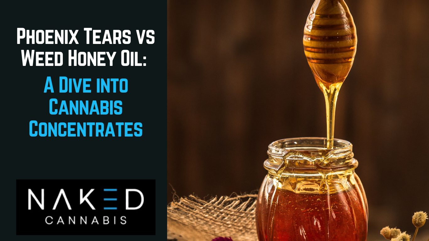 You are currently viewing Phoenix Tears vs. Weed Honey Oil: A Dive into Cannabis Concentrates