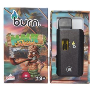 Burn 3mL Disposable Vapes – Maui Wowie THC Distillate