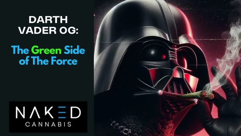 Read more about the article Darth Vader OG: The Dark Side of Cannabis