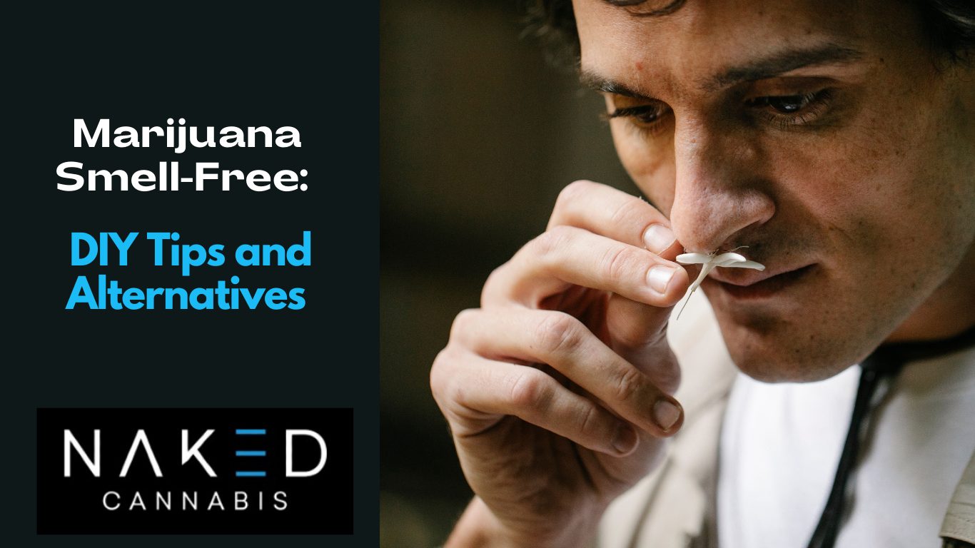 You are currently viewing Keeping Your Home or Apartment Marijuana Smell-Free: DIY Tips and Alternatives