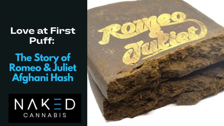 Read more about the article Love at First Puff: The Story of Romeo & Juliet Afghani Hash