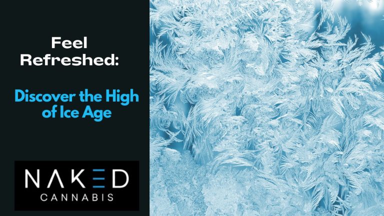 Read more about the article Feel Refresed: Discover the High of Ice Age