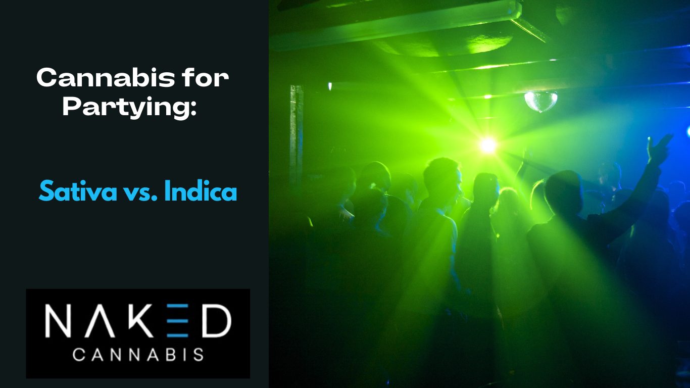 You are currently viewing Cannabis for Partying: Indica vs. Sativa for Club Nights