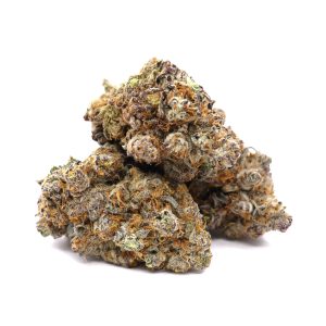 Orange Gatorade – ($.$.$.$)