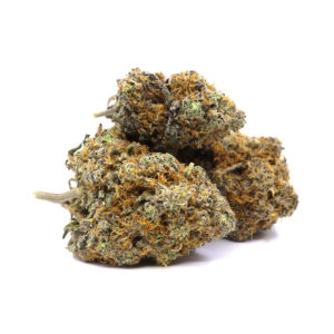 Orange Gatorade – ($.$.$.$)