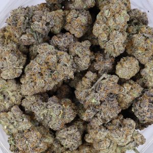 Orange Gatorade – ($.$.$.$)