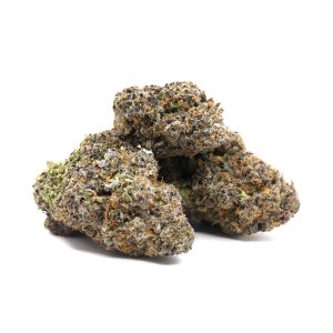 Wizard’s Potion – ($.$.$.$)