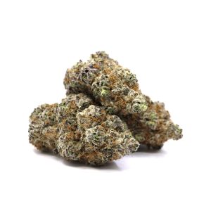 Blissful Wizard  – ($.$.$.$)