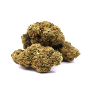 Jungle Punch – ($.$)