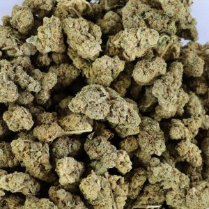 Jungle Punch – ($.$)