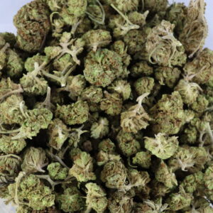 Alien Gorilla (Greenhouse) – ($.$)