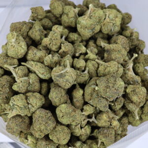 Purple Rainbow (Greenhouse) – ($.$)