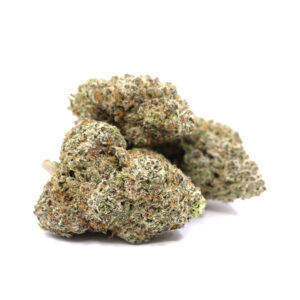 Alien Glue – ($.$.$)