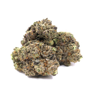 Motorbreath – ($.$.$)