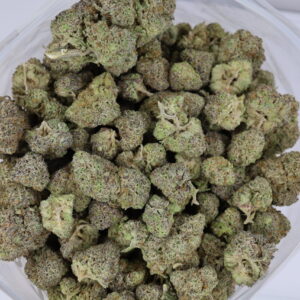 Alien Glue – ($.$.$)