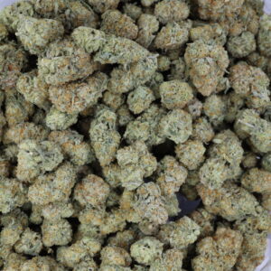 Morning Glory – ($.$.$)