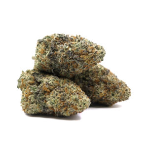 Powdered Donuts – ($.$.$)