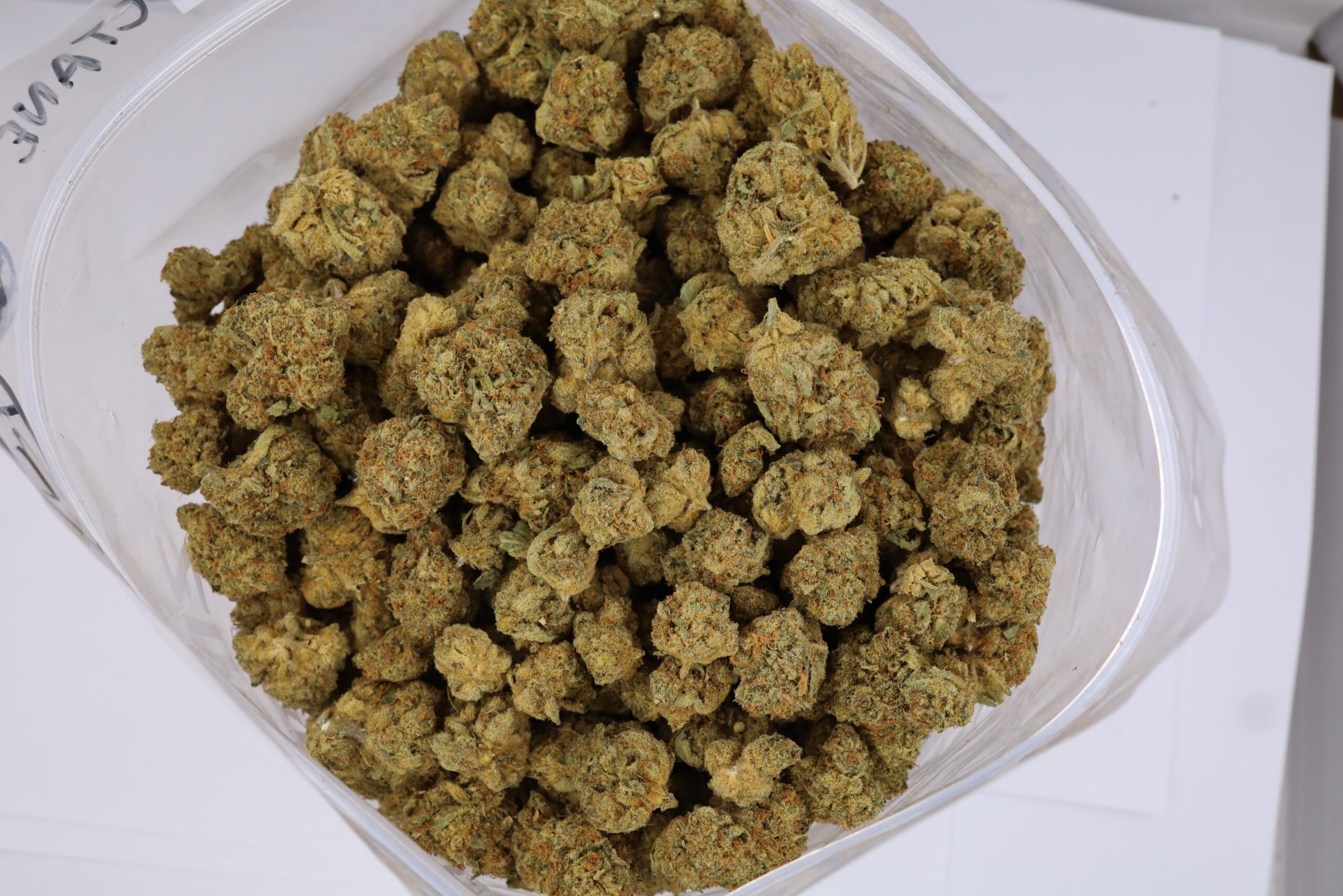 Orange Octane - ($.$) - Image 2