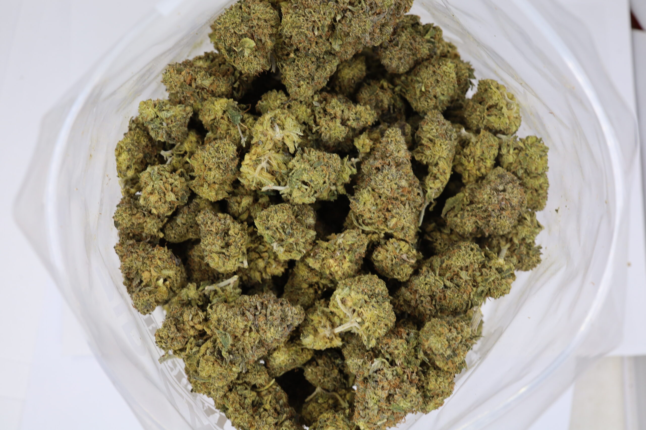 Dragon Breath - ($.$) - Image 2