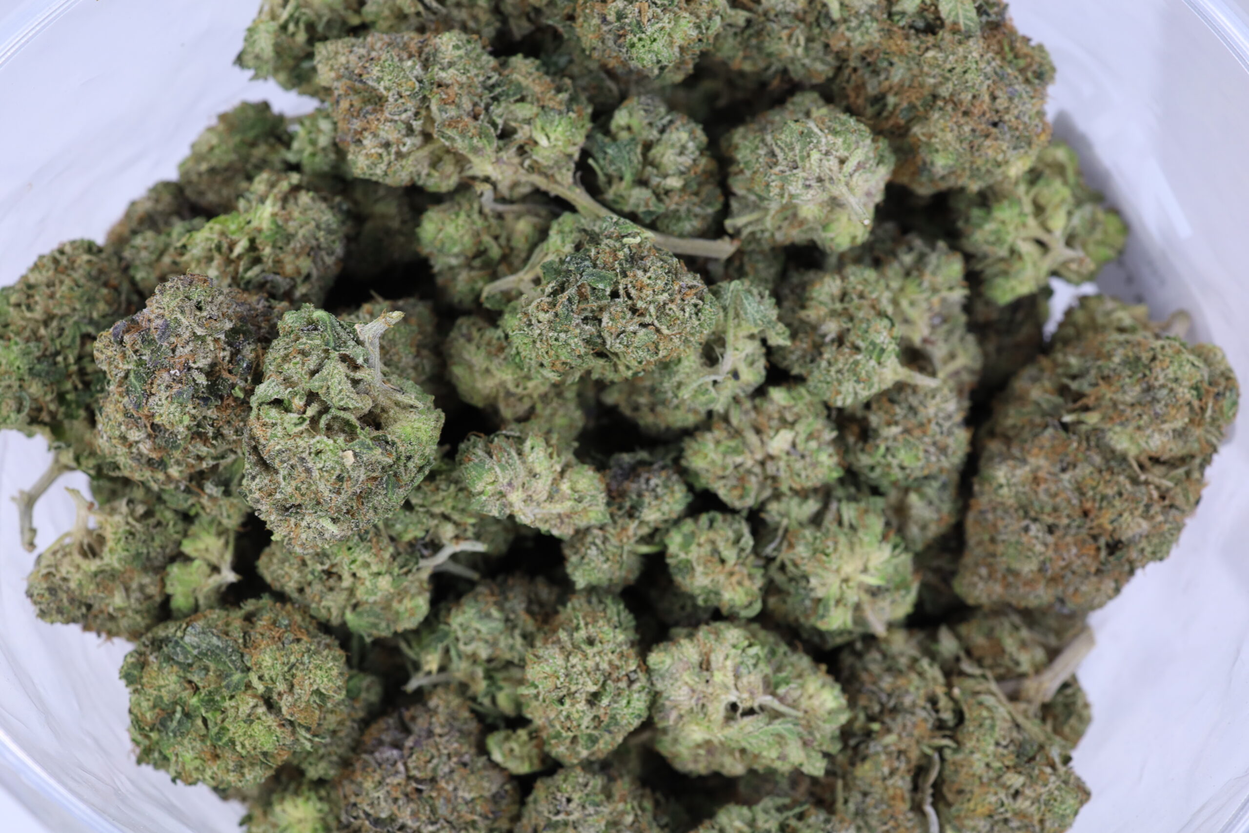 Platinum Rockstar - ($.$.$) - Image 2