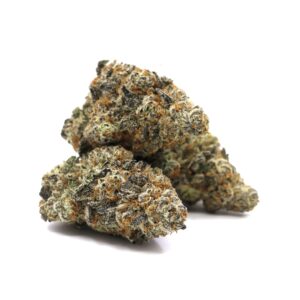 Glitter Bomb – ($.$.$.$)