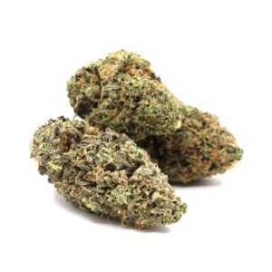 Berry Sanders – ($.$)