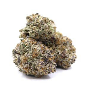 Gelato Dream – ($.$.$)
