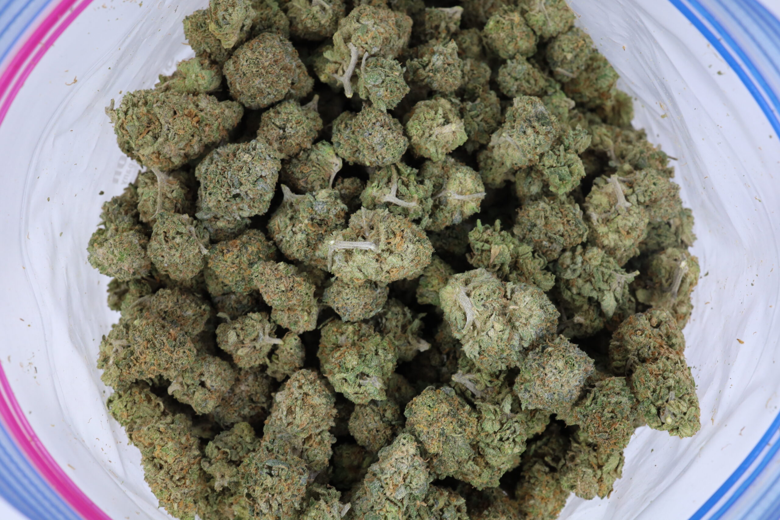 Animal Cookies - ($.$) - Image 2