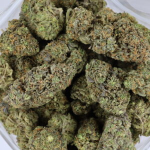 Berry Sanders – ($.$)