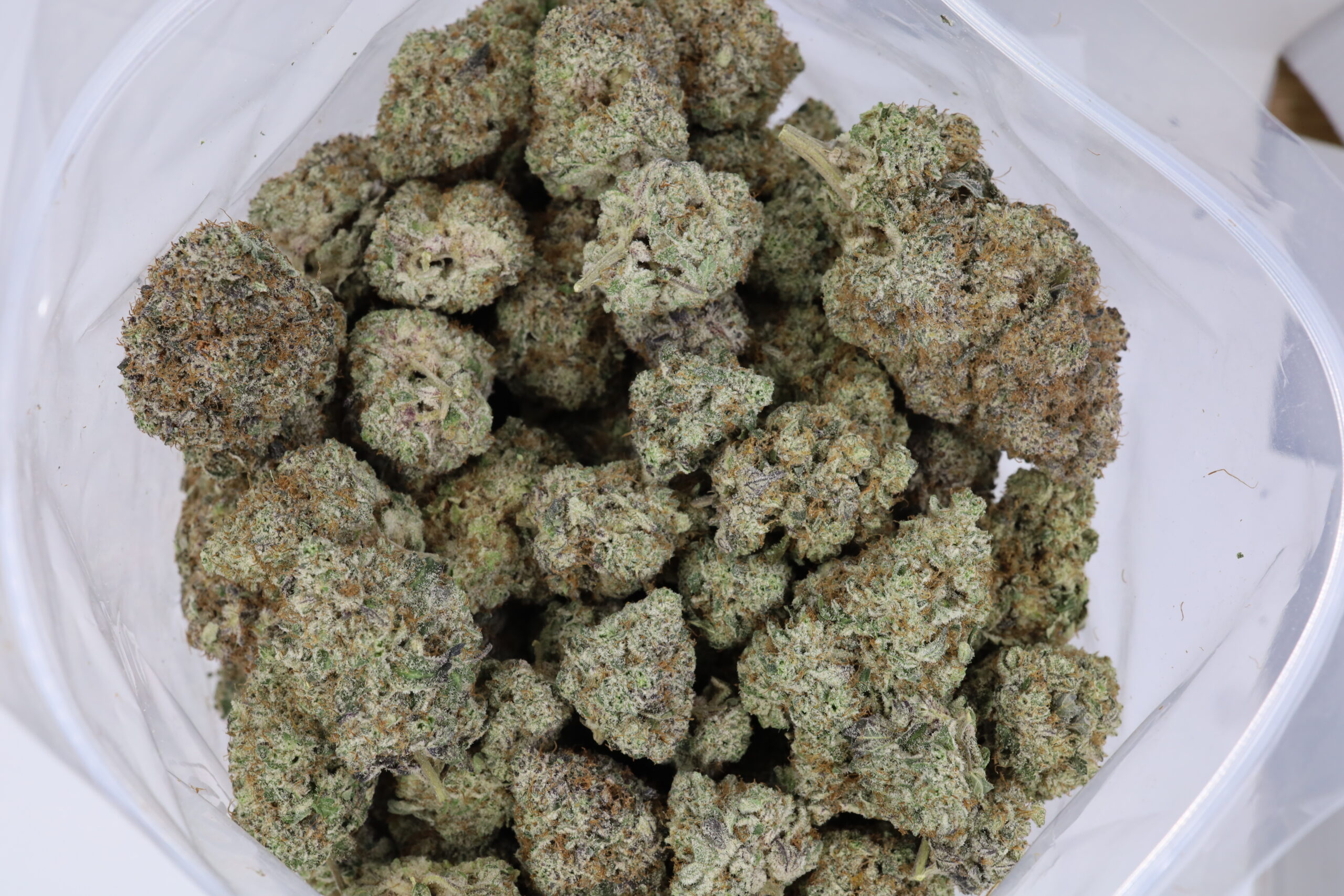 Chem Lights Haze - ($.$.$) - Image 2