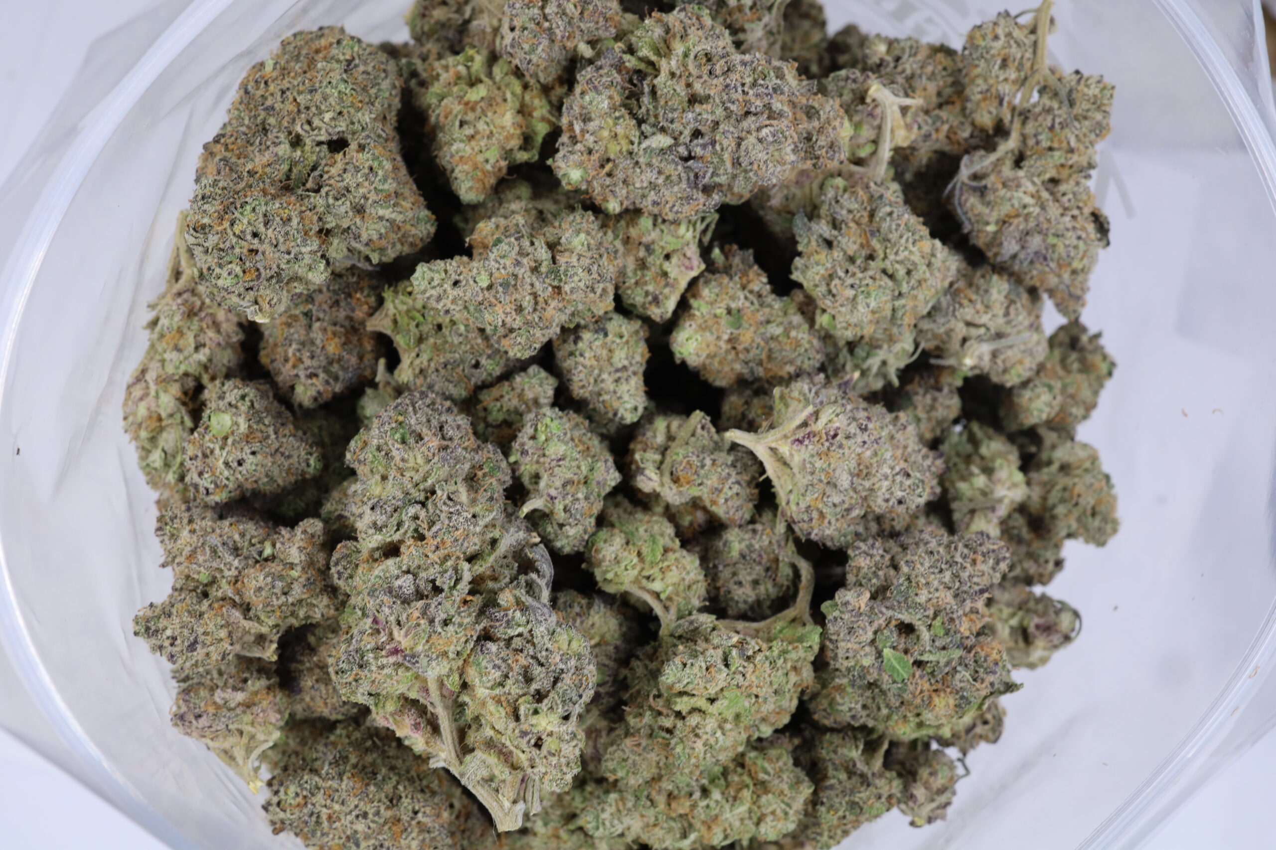 Citrus Blast - ($.$.$) - Image 2