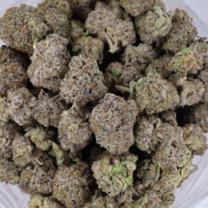 Gelato Dream – ($.$.$)