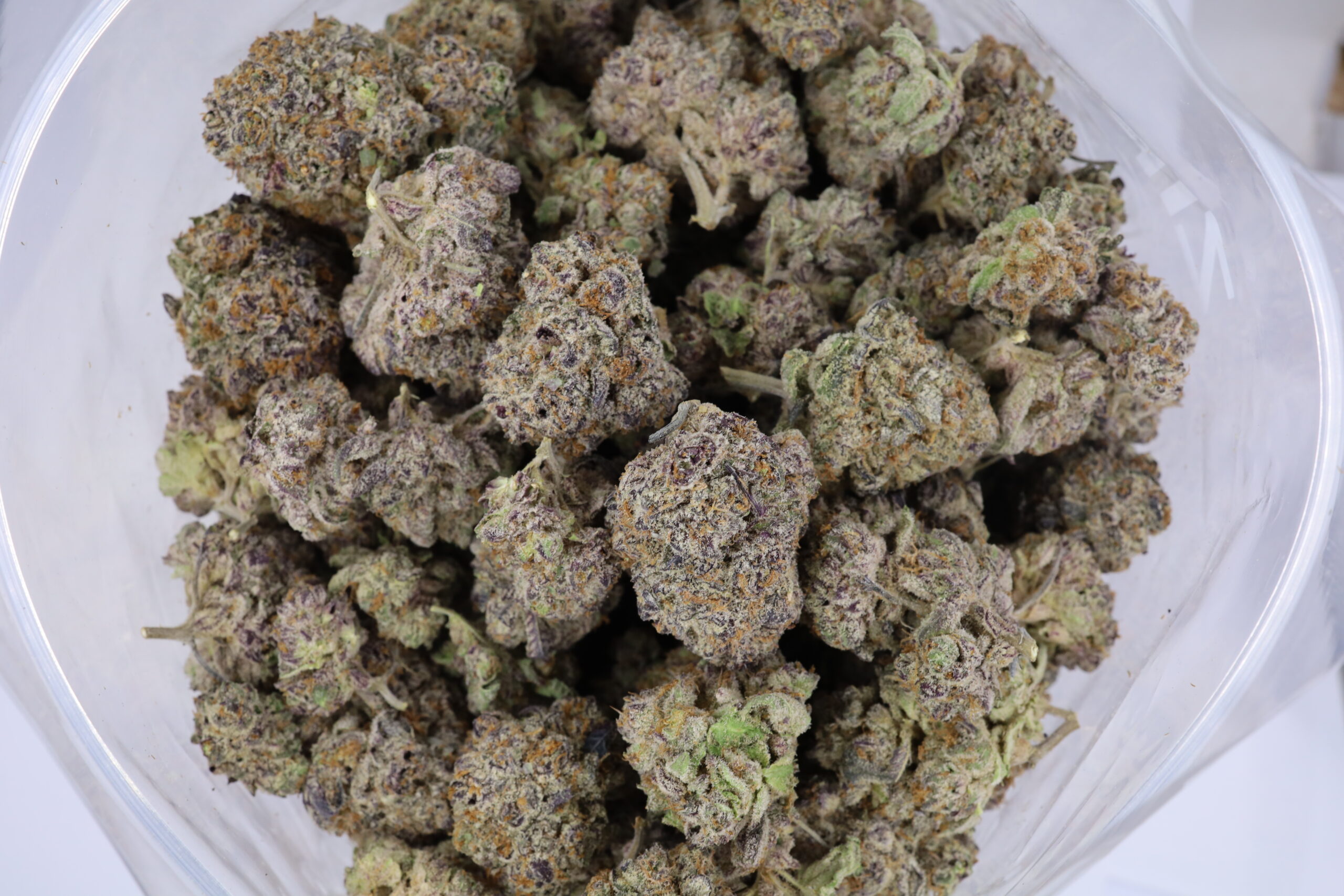 Gelato Dream - ($.$.$) - Image 2