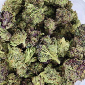 Miss Poison – ($.$)
