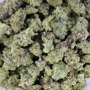 Panama Powerhouse – ($.$)