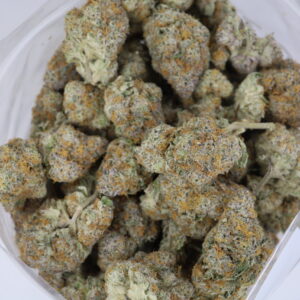 Sugar Glue – ($.$.$)